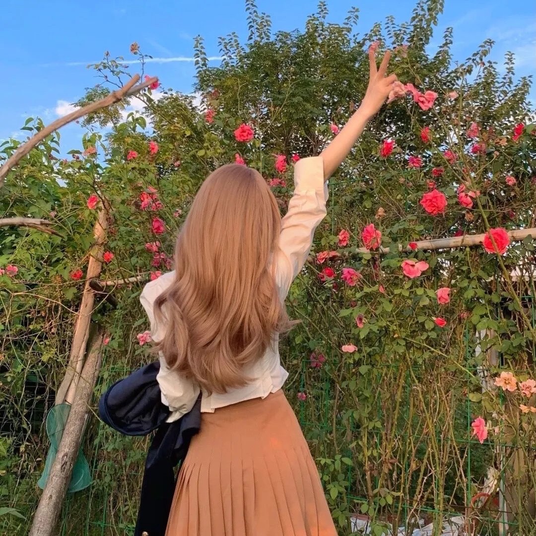 新撰组异闻录 铁 前篇 想道